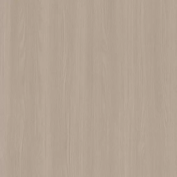 PBM01 الدردار الأنيق